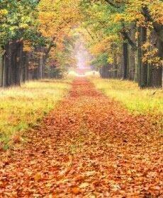 不聊了删号 别加我 的头像