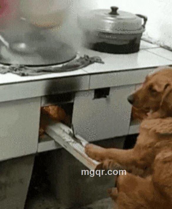 于此间爱的头像