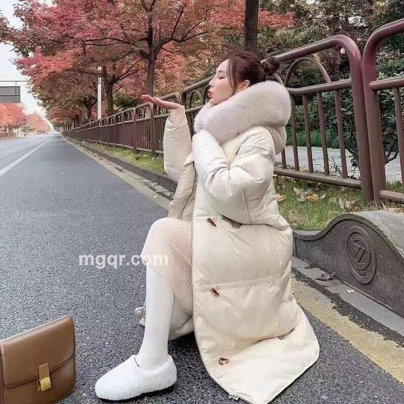 会飞的鱼的头像