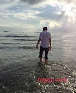 夜雨闻海棠的头像