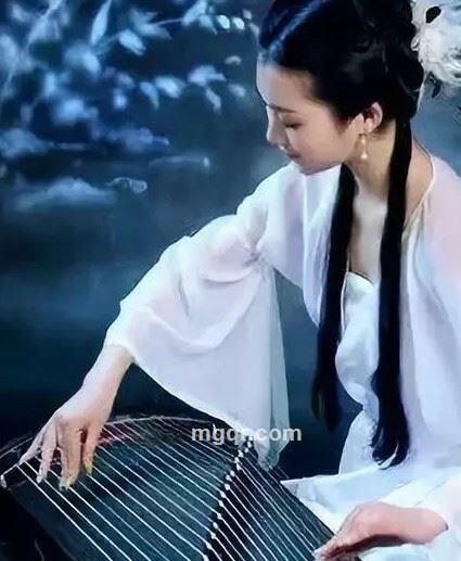 宠物情人的头像