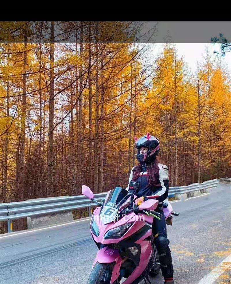 长腿菇凉180的头像