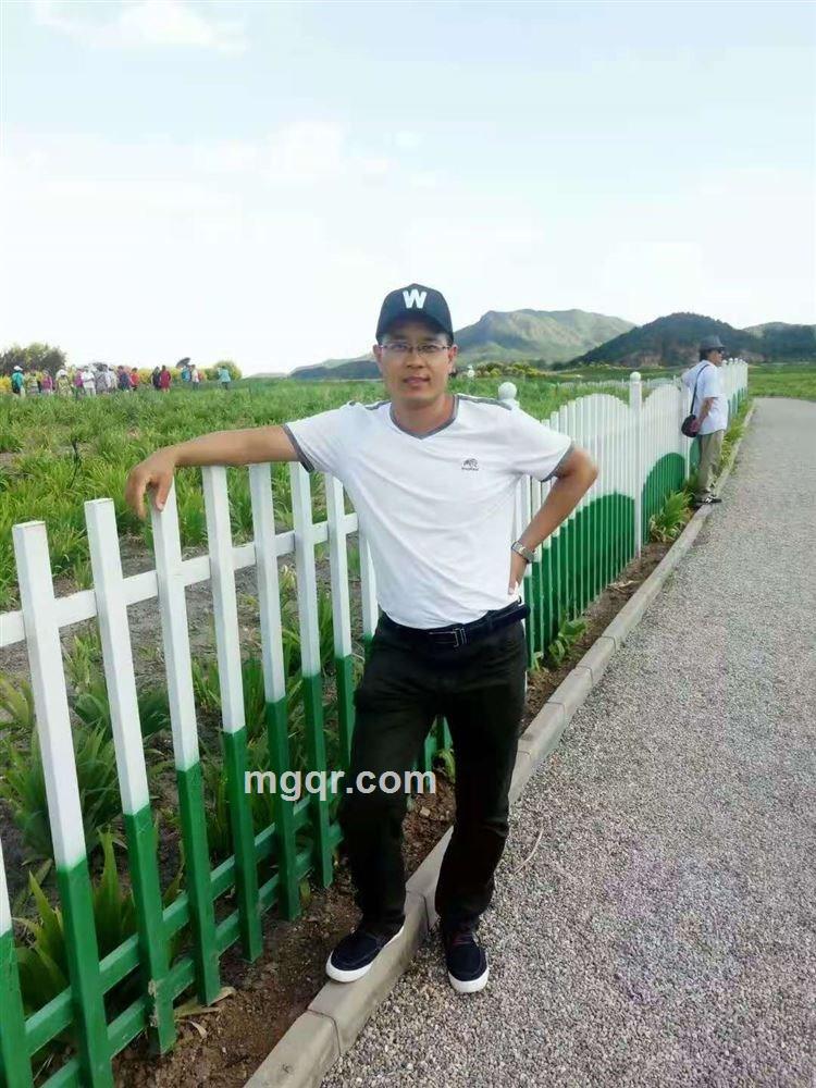 孤独的狼的头像