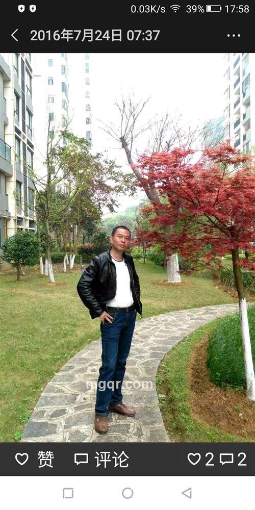 山在那里的头像