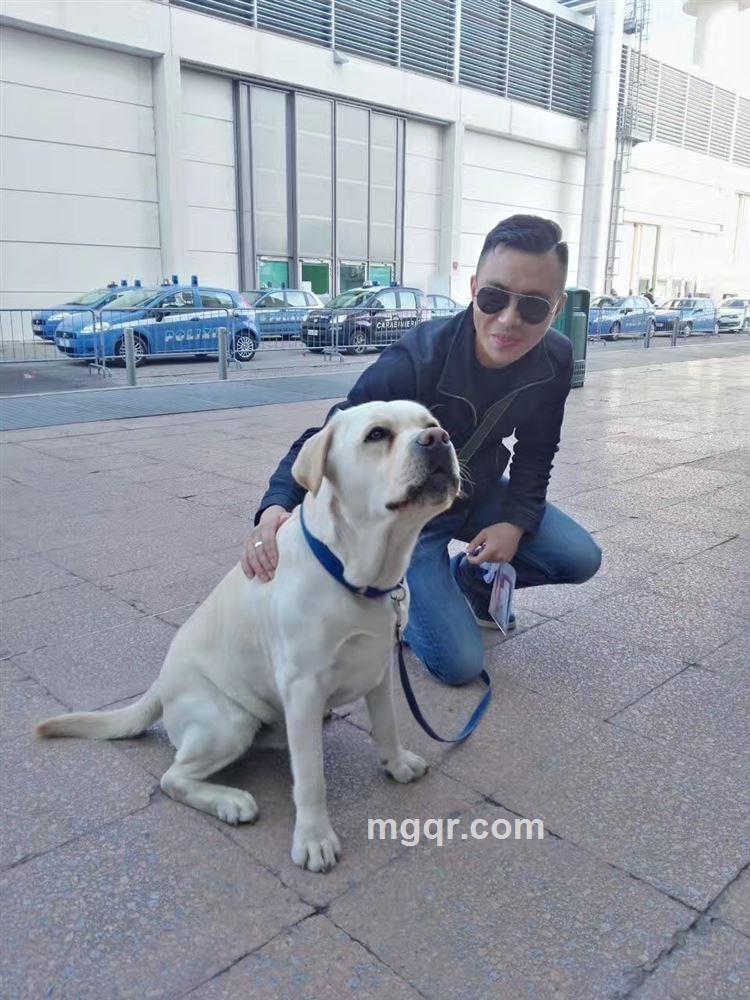 我在首都当大王