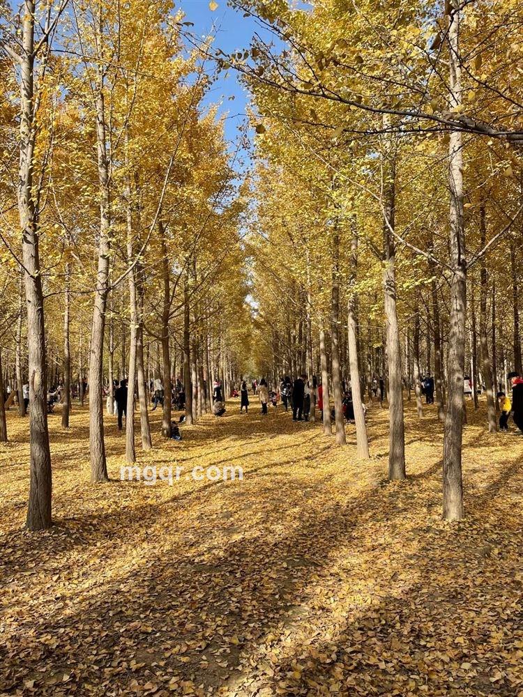 天道酬勤的头像