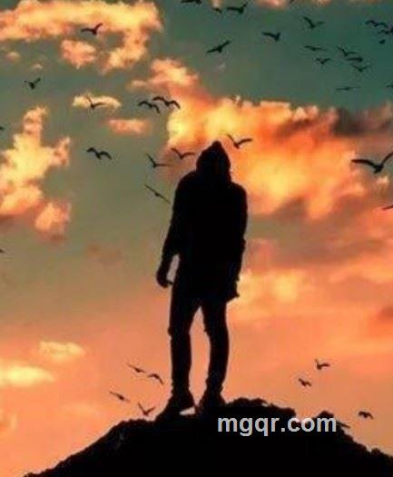 品味生活的头像