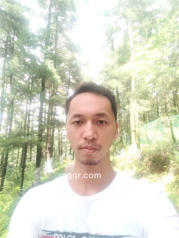 逝去的青春的头像