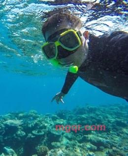 龙行天下功德无量的头像