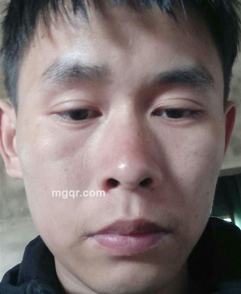 青青子衿的头像