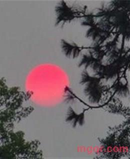 杨先生。的头像