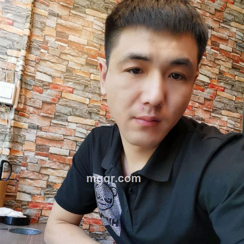 舔屁股的狗的头像