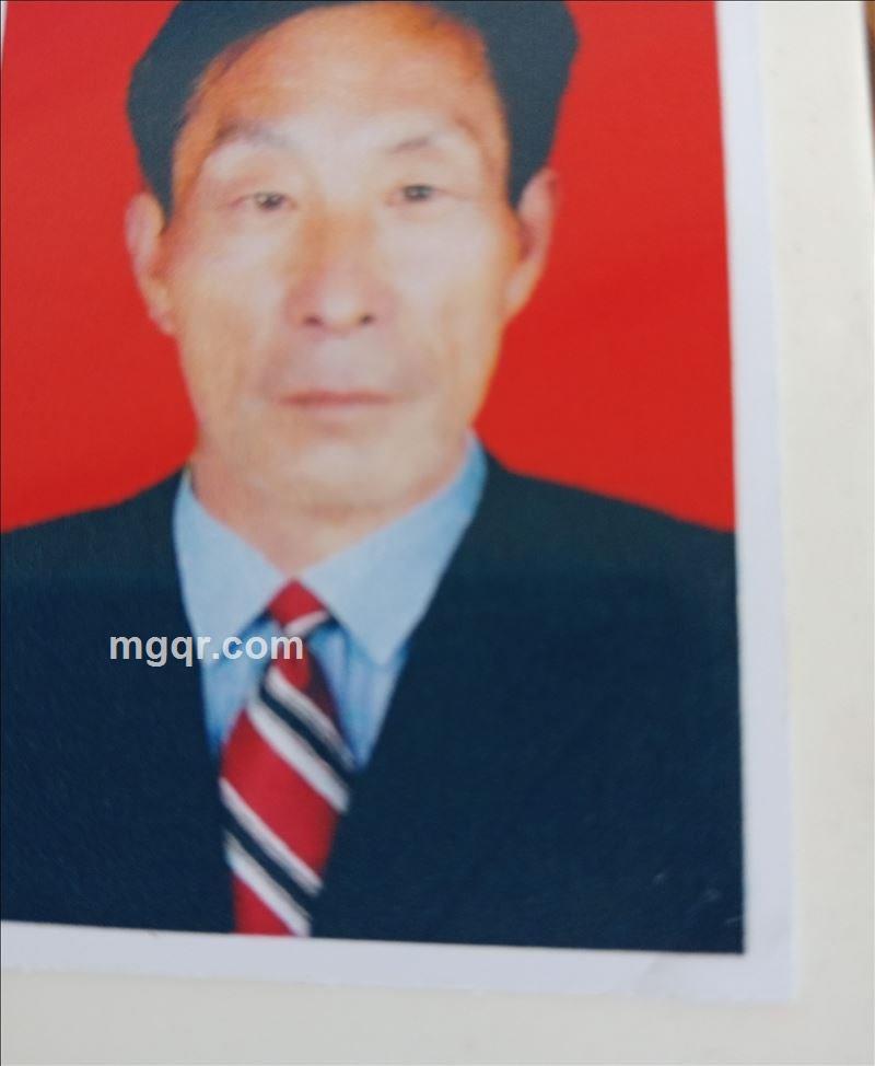 泉城阳光的头像