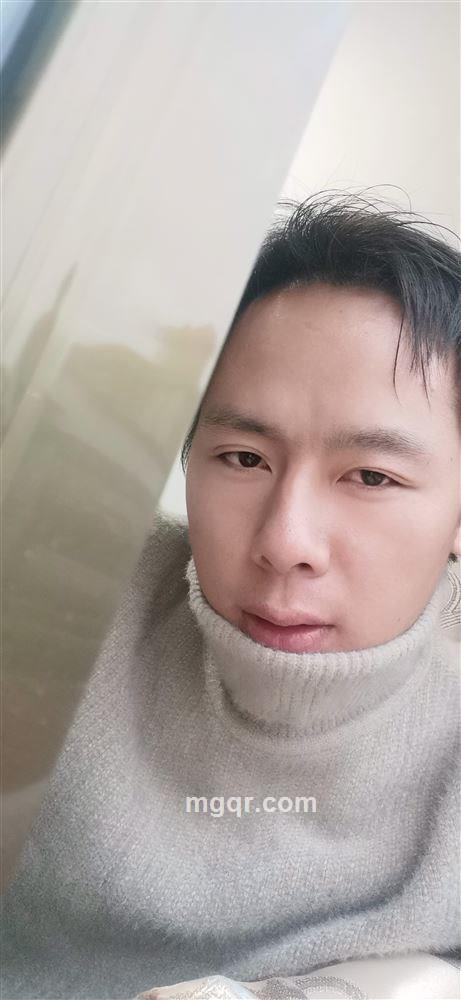 飞翔的帅鹅的头像