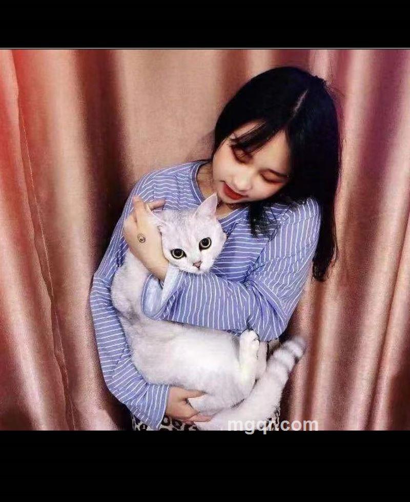 TT的头像