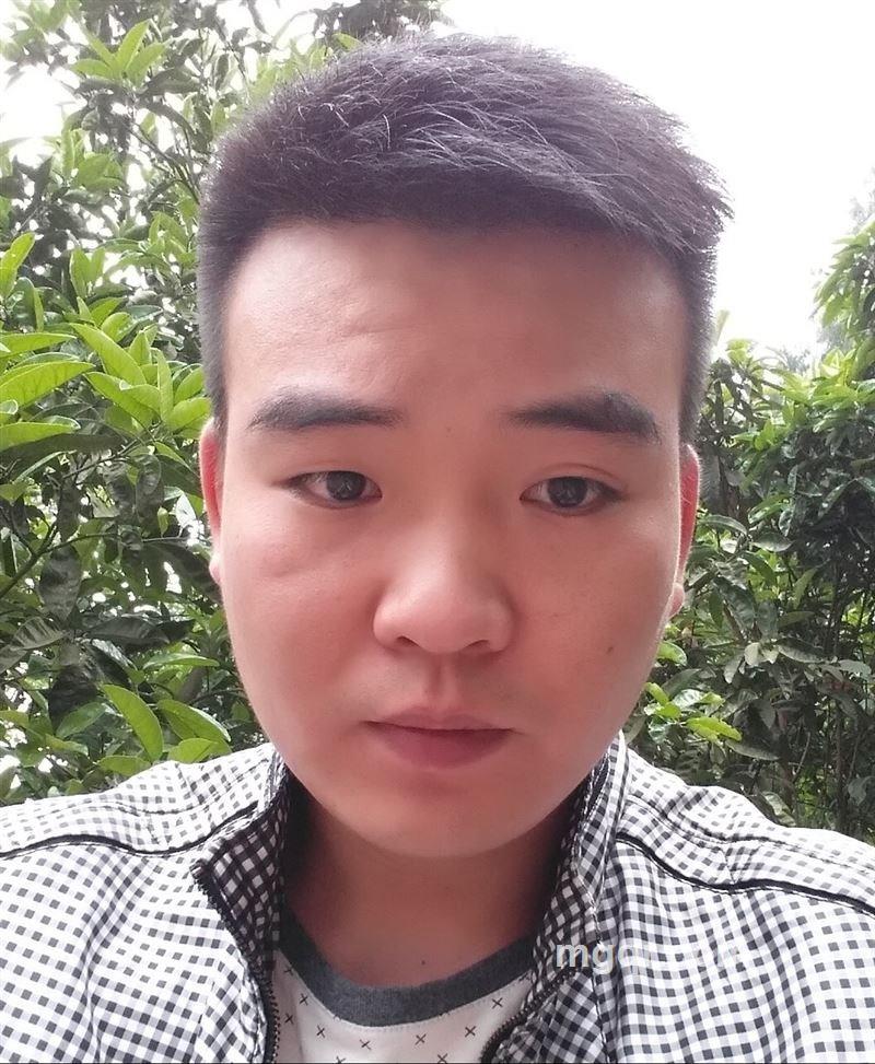 不懂浪漫的头像