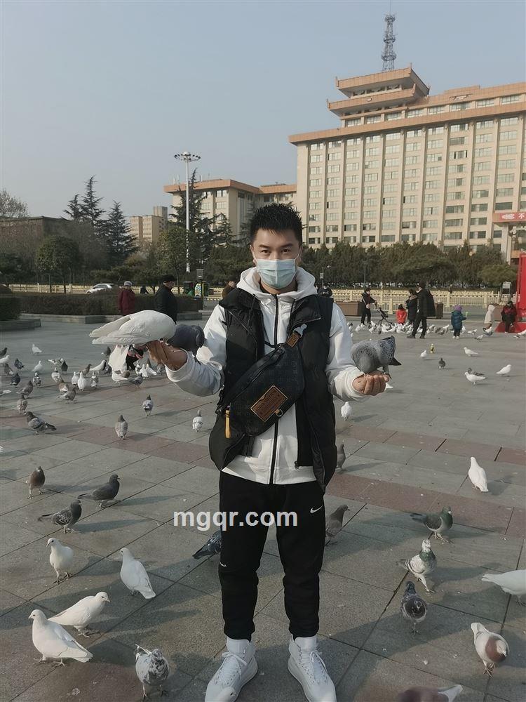 篮球壹皓的头像
