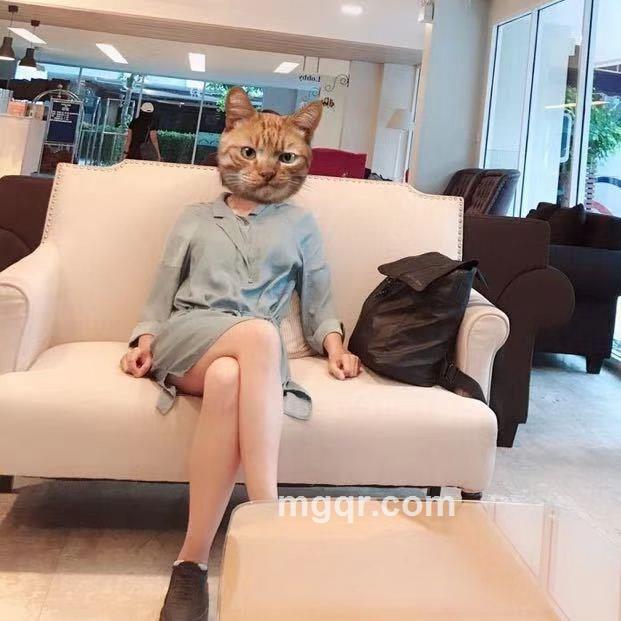 南派哈哈的头像