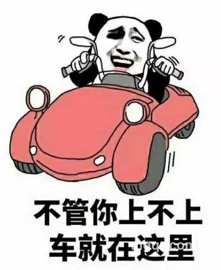 今夜有戏的头像