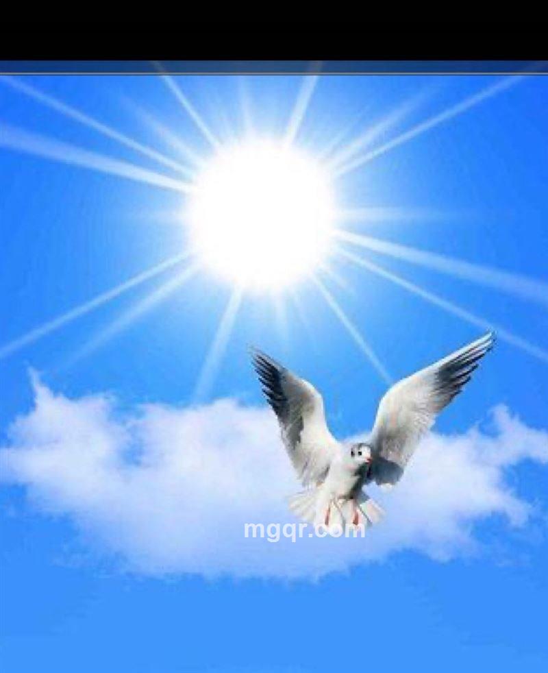 情为何物的头像