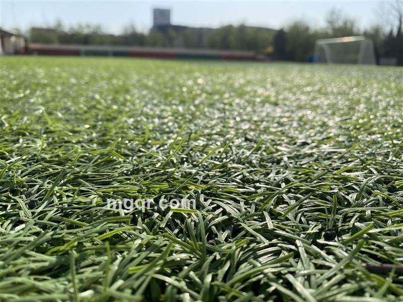 好好好好啊的头像