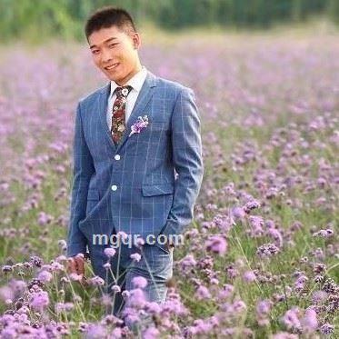 东海飞龙的头像