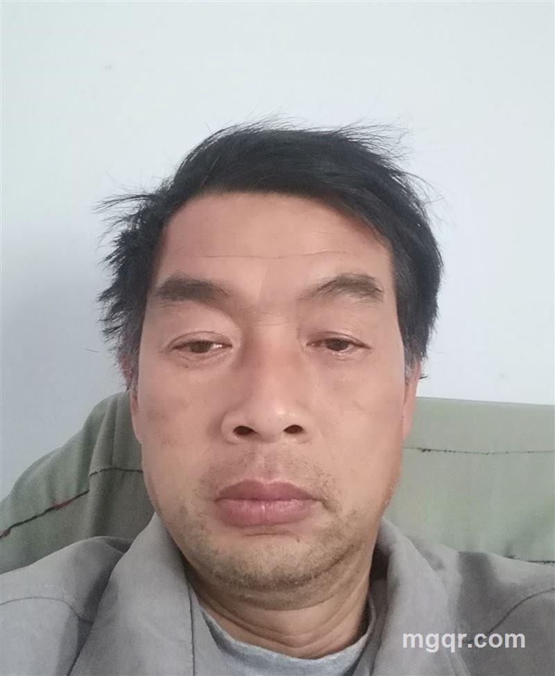 我心飞翔的头像