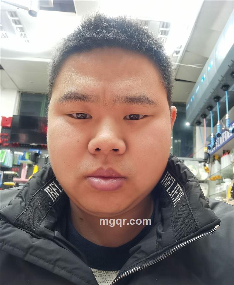 爱吃鱼的猫的头像