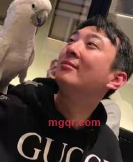 差不多先生的头像