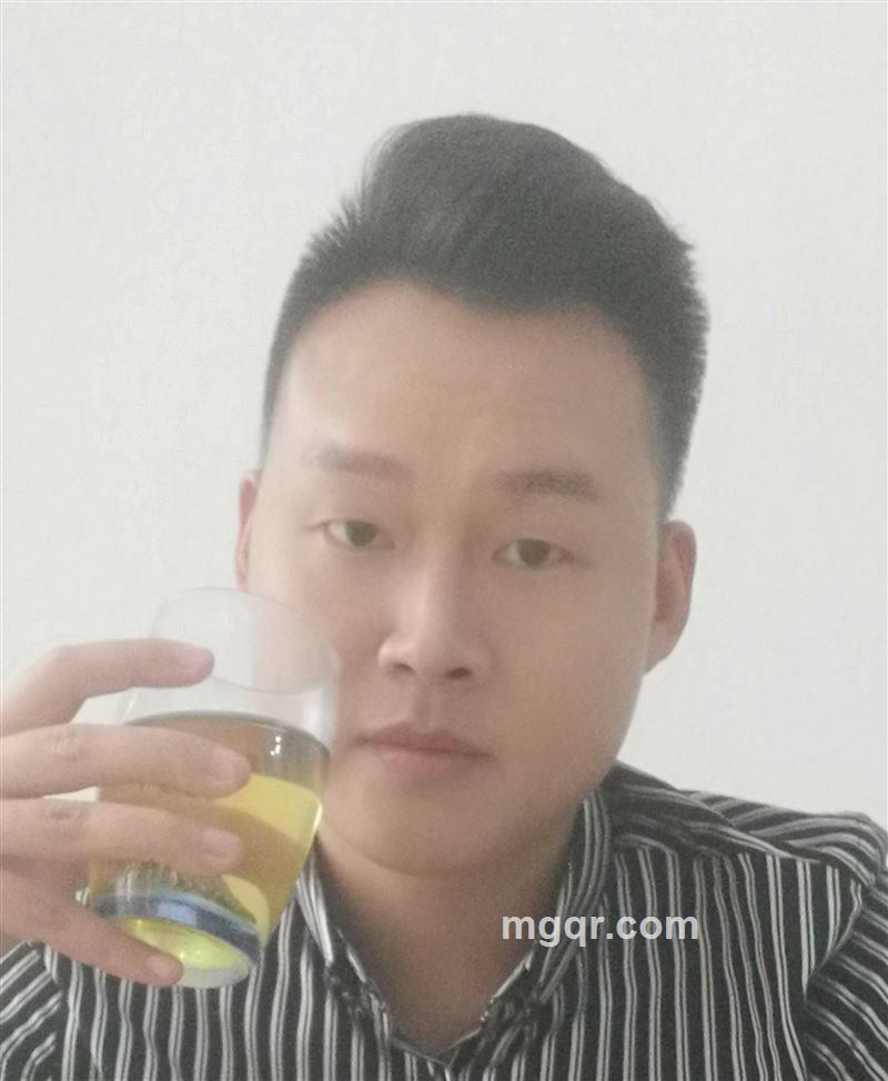 鸿鹄之志的头像