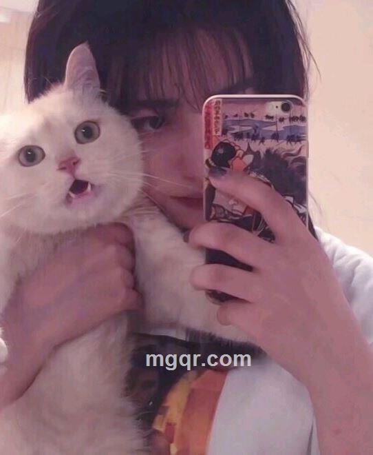 猫猫的幸福的头像