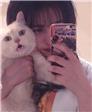 猫猫的幸福