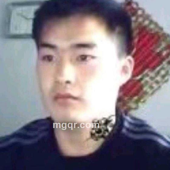 寂寞的风的头像