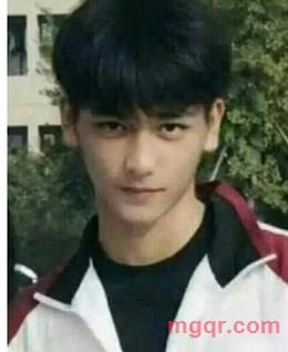 可爱的小奶狗的头像