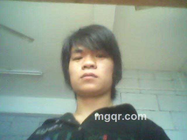 夜晚的狼的头像