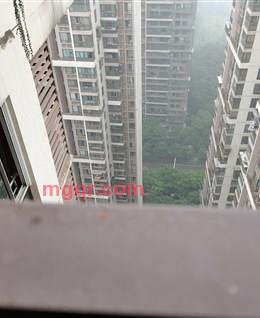 儒雅之风的头像