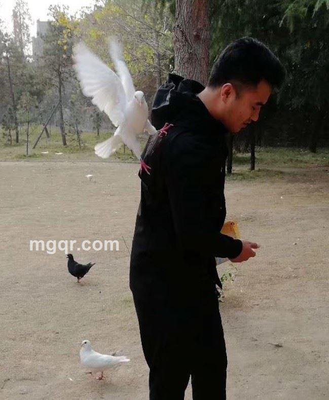 流氓爱黑丝的头像