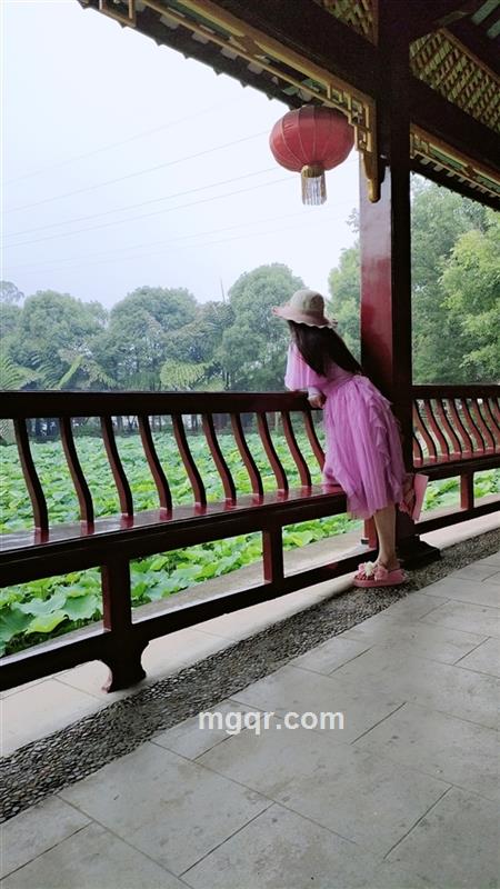 玫瑰呀玫瑰的头像