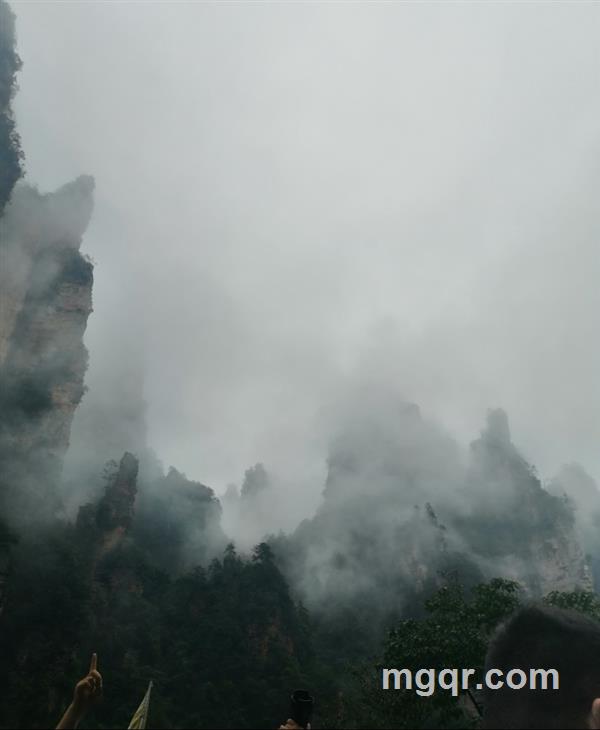 七米阳光的头像