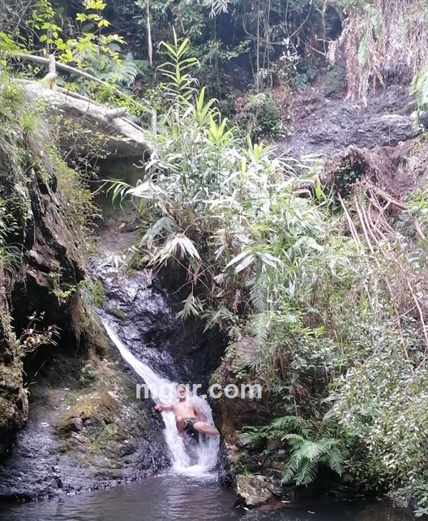 东山飘雨西山晴的头像