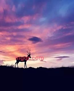 寂寞@如...歌的头像