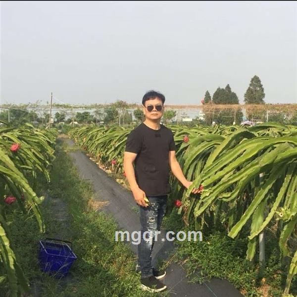 一方八方的头像