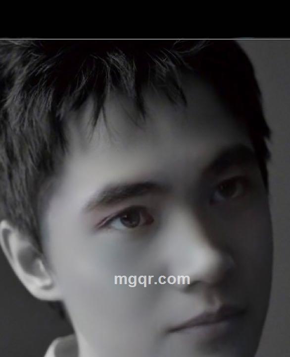 不会飞的屎壳郎的头像