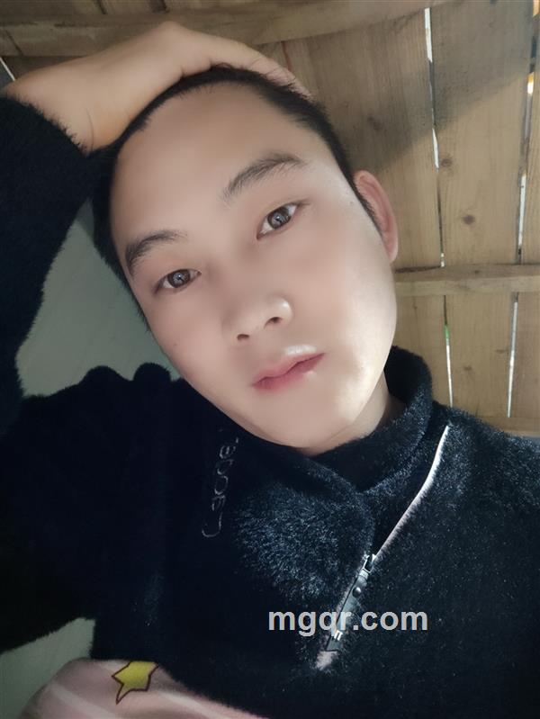 夏天的雪的头像