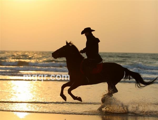 开启征途的头像