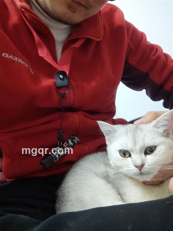 小李洛克的头像
