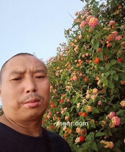 花开花落的头像