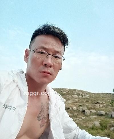 三狼的头像
