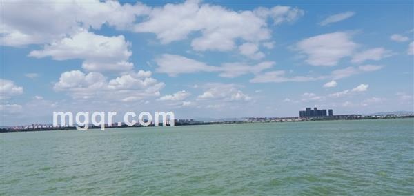 风清云淡的头像