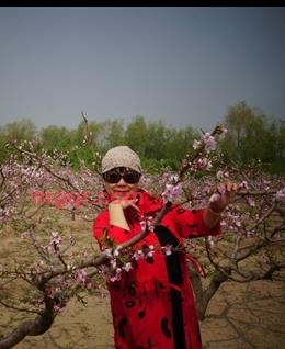 月色如银的头像